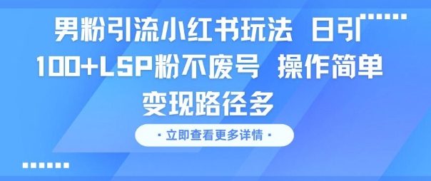 男粉引流小红书玩法，日引100+LSP粉不废号，操作简单，变现路径多