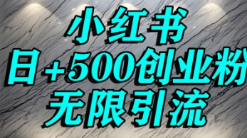 小红书无限引流创业粉，单人操作日引500+精准创业粉