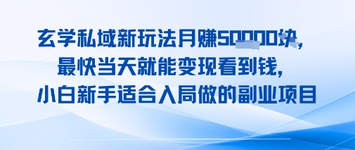 玄学私域新玩法月入1W+，最快当天就能变现看到米，小白新手适合入局做的副业项目