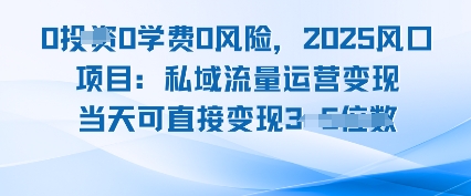 0学费0风险，2025风口项目：私域流量运营变现，当天可直接变现