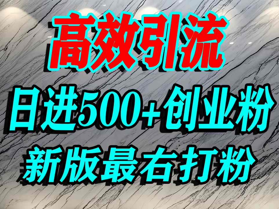 最右打创业粉，百分之九十九同行都不知道的空白蓝海，单人日引500+精准流量