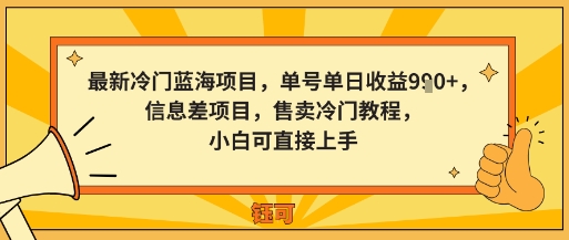 最新冷门蓝海项目，单号单日收益多张，信息差项目，售卖冷门教程，小白可直接上手