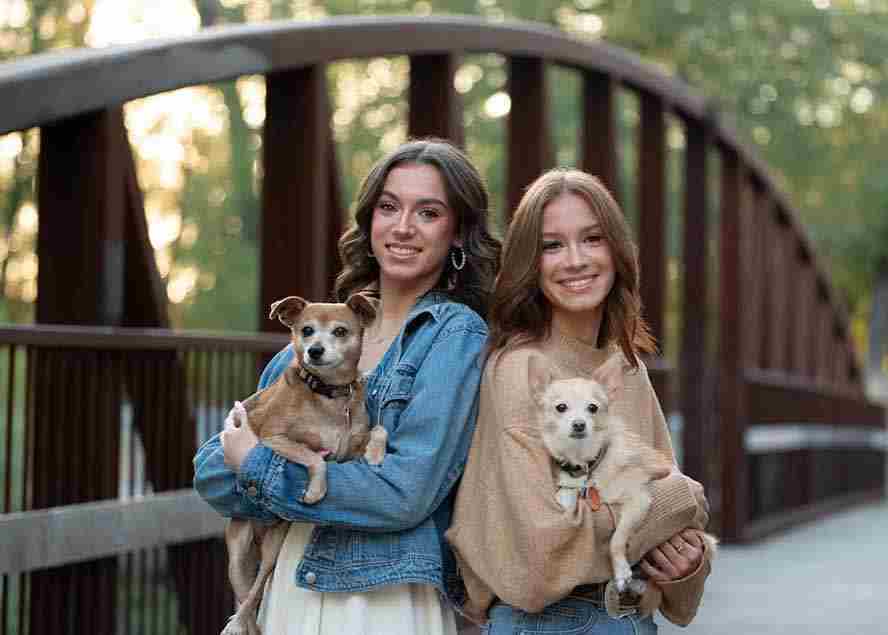 （17403期）大师级GTG出品-老友记系列AI自适应预设The Friends Preset Collection-中创网_分享中创网创业资讯_最新网络项目资源