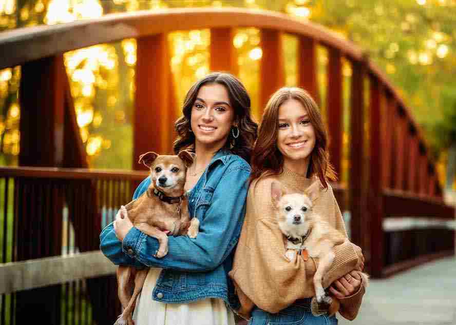 （17403期）大师级GTG出品-老友记系列AI自适应预设The Friends Preset Collection-中创网_分享中创网创业资讯_最新网络项目资源