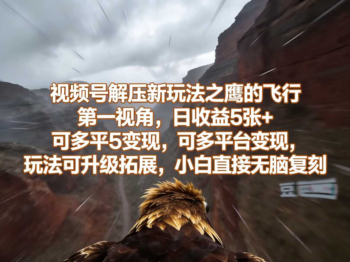 视频号解压新玩法之鹰的飞行第一视角，日收益5张+，可多平台变现，玩法可升级拓展，小白直接无脑复刻